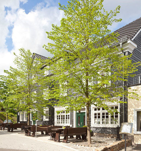 Zu Den Drei Linden Hotel Wermelskirchen Exterior photo